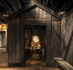 The Viking Museum: Entry Ticket