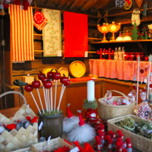 Skansen Open Air Museum and Nordic Zoo 2